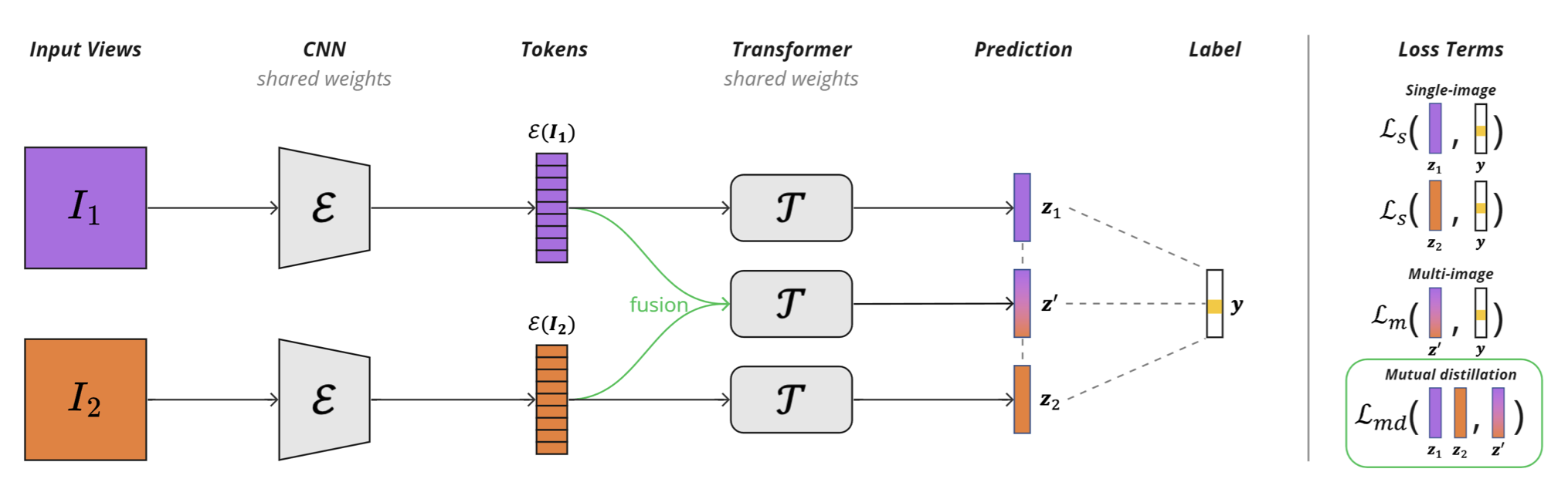 multi-view hybrid